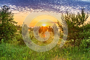 Spring landscape with forest and meadow at sunrise