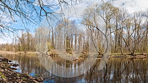 Spring landscape. A forest river with trees on the coasts