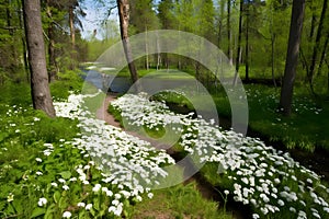 Spring landscape in the forest with white flowers. Neural network AI generated