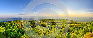 Spring landscape with fresh green forest