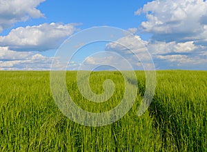 Spring landscape germany mountains fields forest