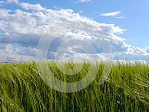 Spring landscape germany mountains fields forest