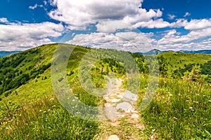 Spring landscape with grassy meadows and mountain peaks