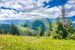 Spring landscape with grassy meadows and mountains