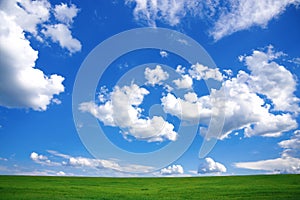 Spring Landscape - green field and blue sky