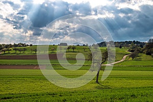 Spring landscape. Green field dramatic blue sky sun rays