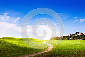 Spring landscape with green grass and clouds photo