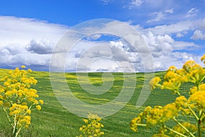 Spring landscape with green hills dominated by clouds in Apulia, Italy,