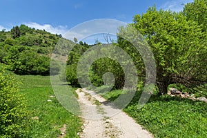 Spring landscape of Green Hills near village of Fotinovo in Rhodopes Mountain, Bulgaria