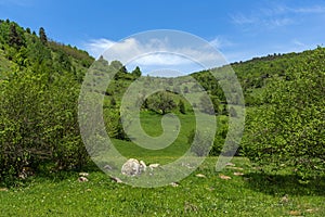 Spring landscape of Green Hills near village of Fotinovo in Rhodopes Mountain, Bulgaria