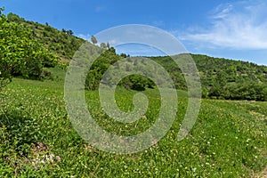 Spring landscape of Green Hills near village of Fotinovo in Rhodopes Mountain, Bulgaria