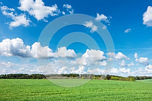 Spring landscape with green meadow, forest and blue sky