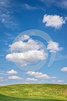 Spring landscape with green meadow under blue sky