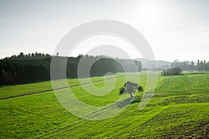 Spring landscape of green pastures of Germany in early spring in Europe