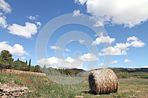 Spring landscape, Gudar mountains, Teruel, Spa photo