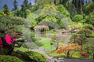 Spring Landscape of Japanese Garden with Pond and Azalea Flowers in Bloom