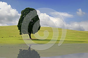 Spring Landscape in Korea with reflection