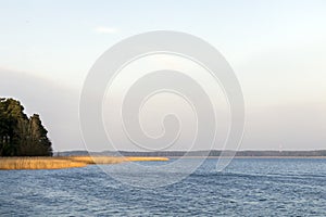 Spring landscape with lake overgrown with reeds near the coast, nature background with dry reed grass