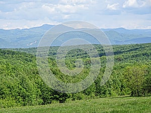 Spring landscape in Maramures county, Romania. Green landscape
