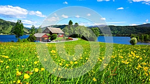 Spring Landscape with A Meadow of Wild Yellow Buttercup Flowers and A Beautiful Red House by A Lake in The Sunlight