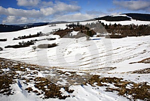 Spring landscape with melting snow