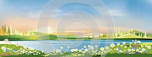 Spring landscape morning in village with green meadow on hills,orang and blue sky, Vector cartoon Summer or Spring panorama view