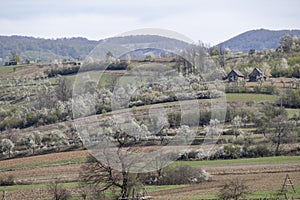 Spring landscape from the mountains of Banat, Romania