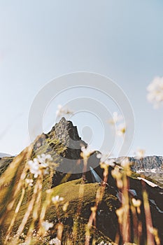 Spring Landscape mountains and flowers framing