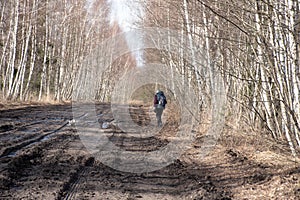 spring landscape with muddy swamp, forest road, spring, lonely traveler on a dirty wet road