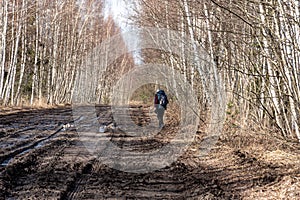 spring landscape with muddy swamp, forest road, spring, lonely traveler on a dirty wet road