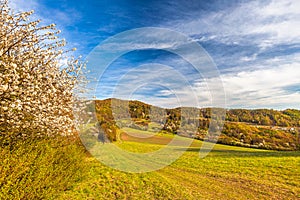 Spring landscape near the Klapy nature reserve