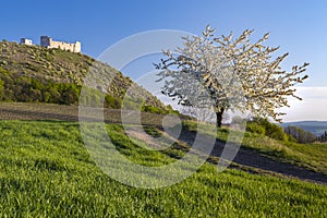 Spring landscape near Pavlov with Devicky ruins in Palava, Southern Moravia, Czech Republic