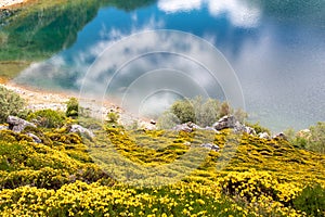 Spring landscape near the Saliencia mountain lakes Spain, Asturias photo