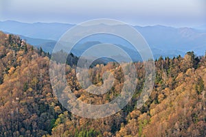 Spring Landscape Newfound Gap