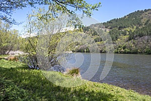 Spring Landscape of Pancharevo lake, Bulgaria