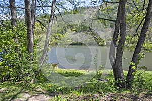 Spring Landscape of Pancharevo lake, Bulgaria