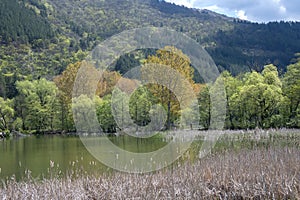 Spring Landscape of Pancharevo lake, Bulgaria