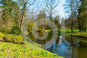 Spring landscape in a park with a pond