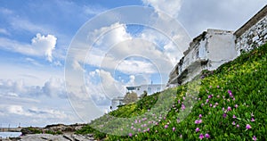 Spring landscape of Paros island, Greece