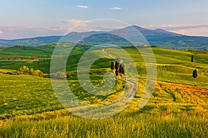 Spring landscape with pathway in the hills of Val d'Orcia