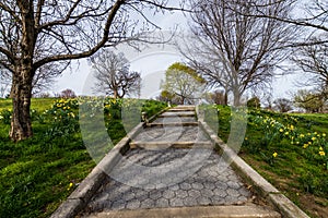 Spring landscape of patterson park with flowers in baltimore mar