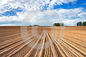 Spring of landscape with ploughed field