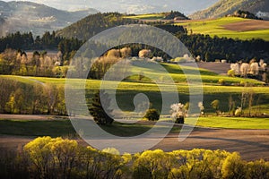 Spring landscape in Polana region