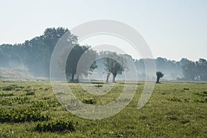 Spring landscape in Poland near Vistula River