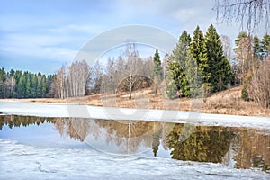 Spring landscape of a pond