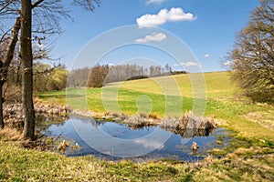 Spring landscape with pond and blue sky