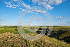 Spring landscape - a prairie covered with green fresh grass