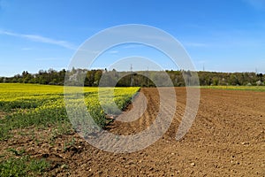 Spring landscape with rapefield and arable land