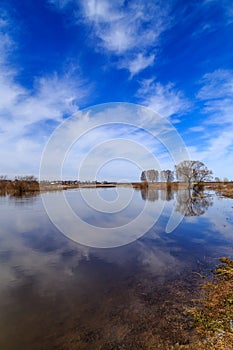 Spring landscape, river, blue sky
