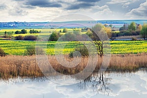 Spring landscape with river and rapeseed field during flowering